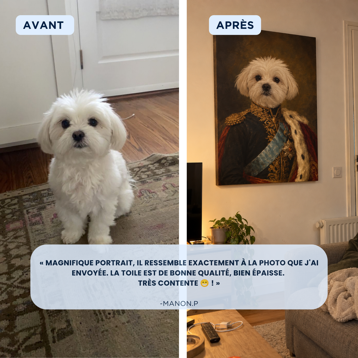 Avant / après : photo d'un bichon et son portrait royal en costume sur toile au mur du salon